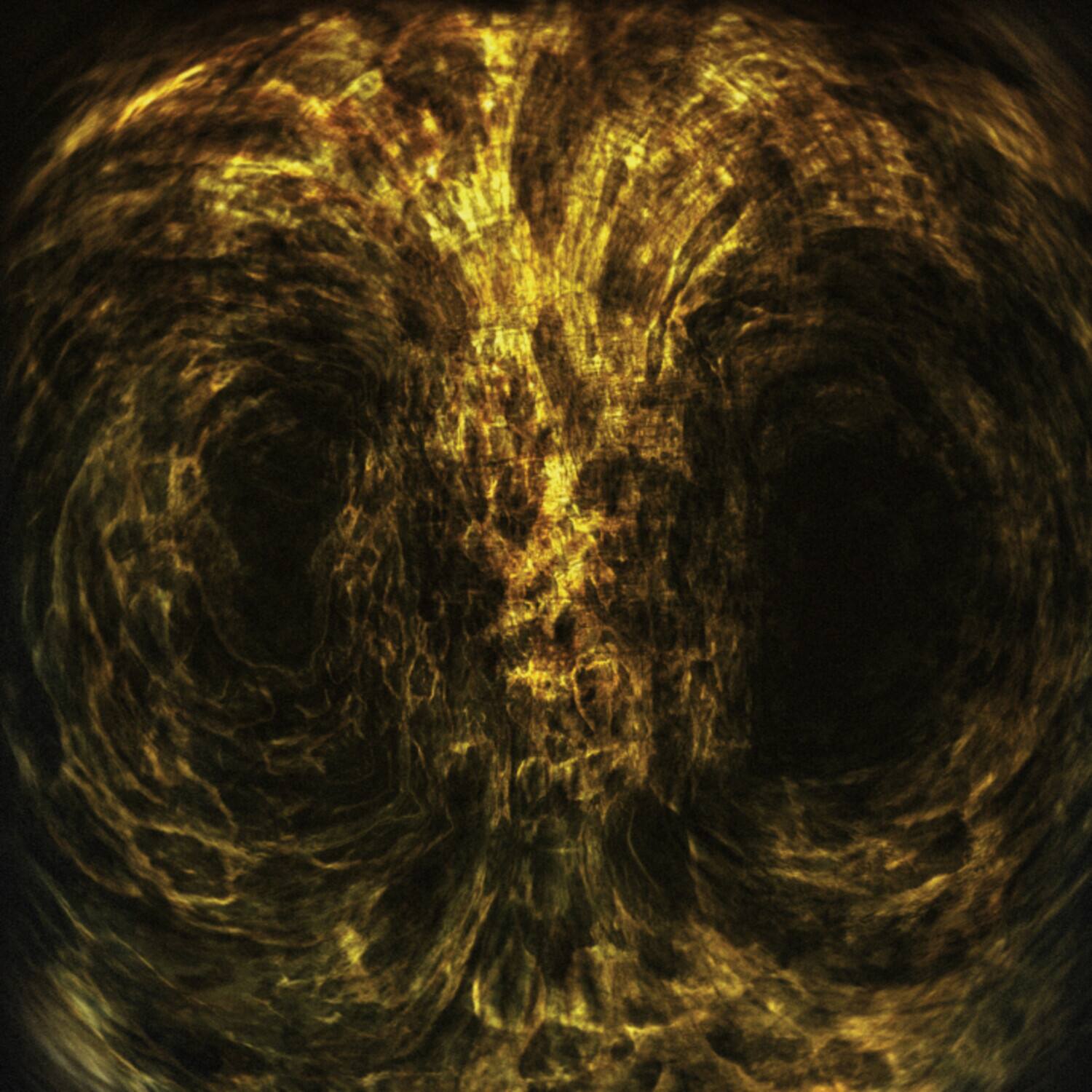 Front. Impetuous Ritual - Iniquitous   - VINYL LP .