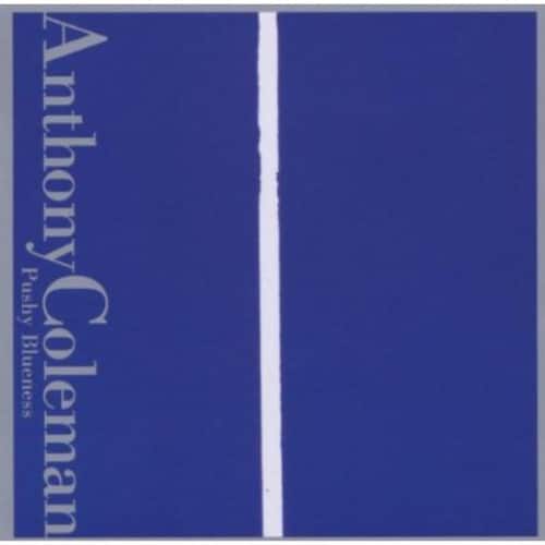 Anthony Coleman - Pushy Blueness   - COMPACT DISCS [CD] price history on PriceWatchPro