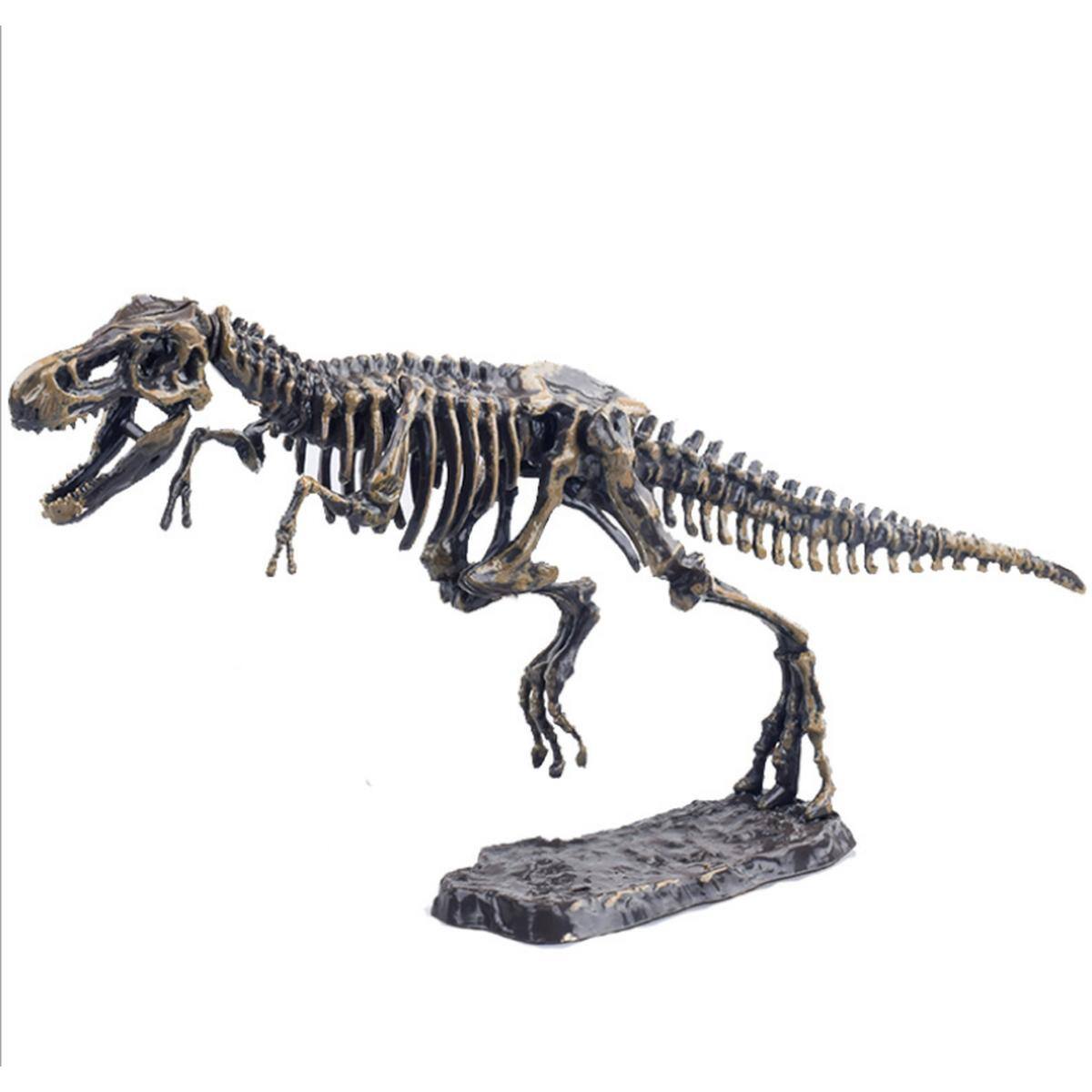 Angle. JuzToys - Dinosaur T-Rex Dino Skeleton Fossil Excavation Kit Toy - Multi.