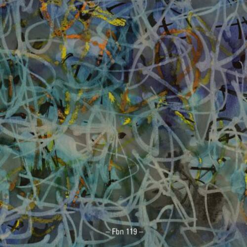 Fbn 119
