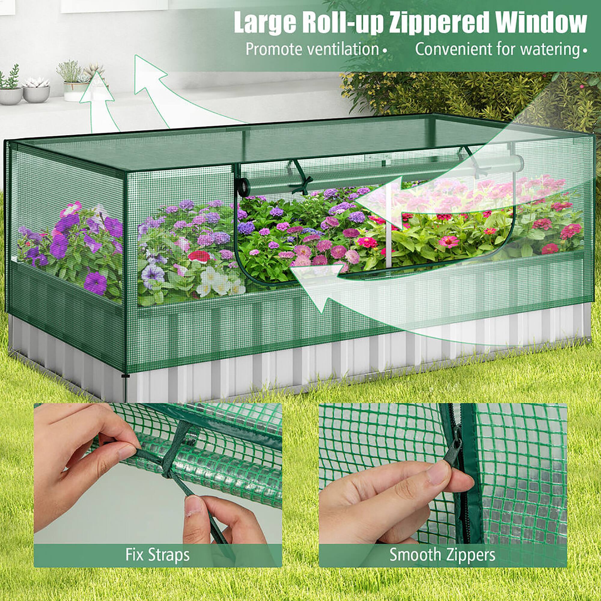 Large Roll-up Zippered Window  
Promote ventilation • Convenient for watering  

Fix Straps  
Smooth Zippers
