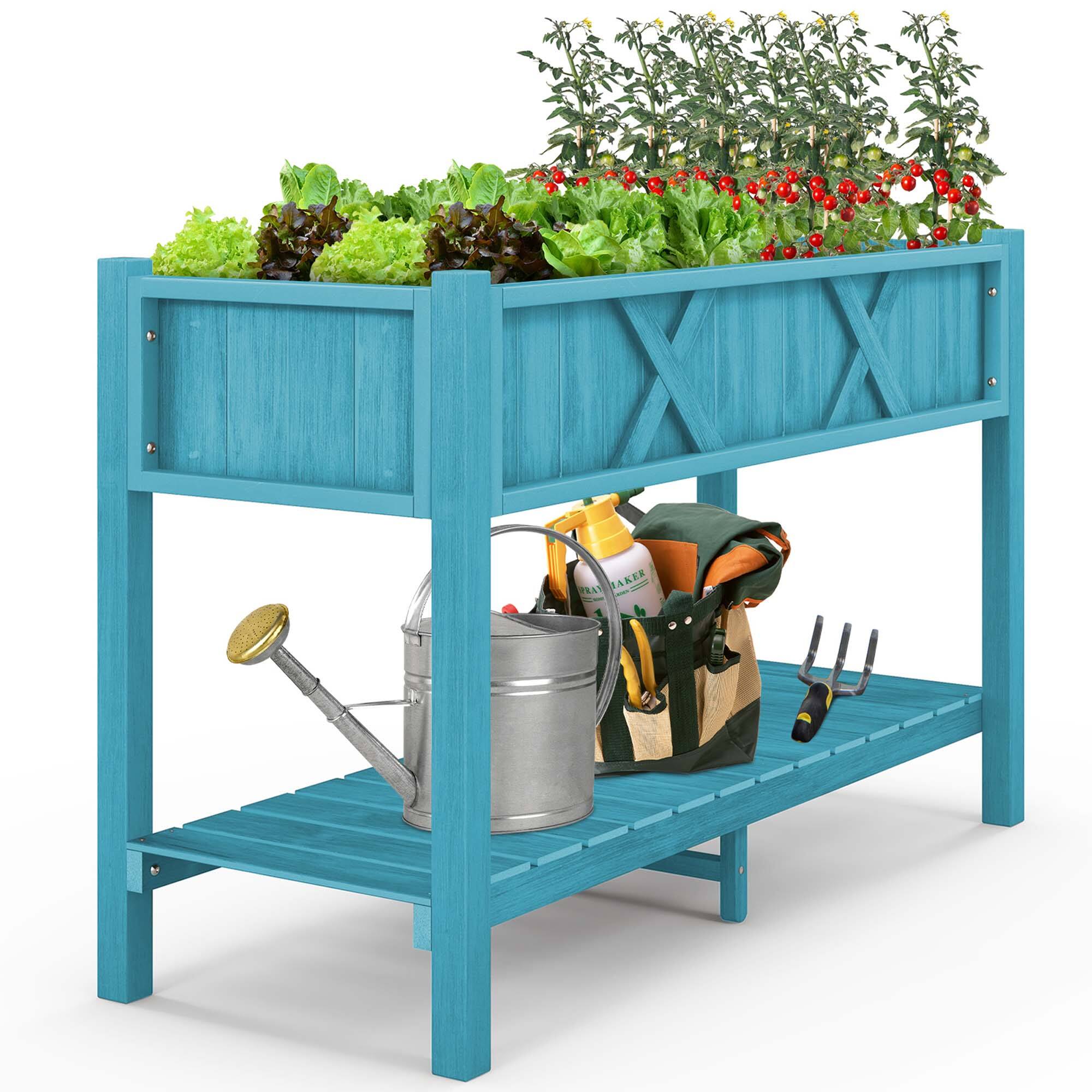 LAKER FEAT: A blue shelf with a blue tray on top of it. The tray has a blue pot with plants in it. The shelf also has a blue bucket and a blue watering can on it.
