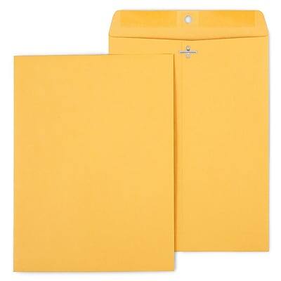 Staples - Kraft Clasp & Moistenable Glue Catalog Envelopes, 9" x 12", 100/Box - Brown