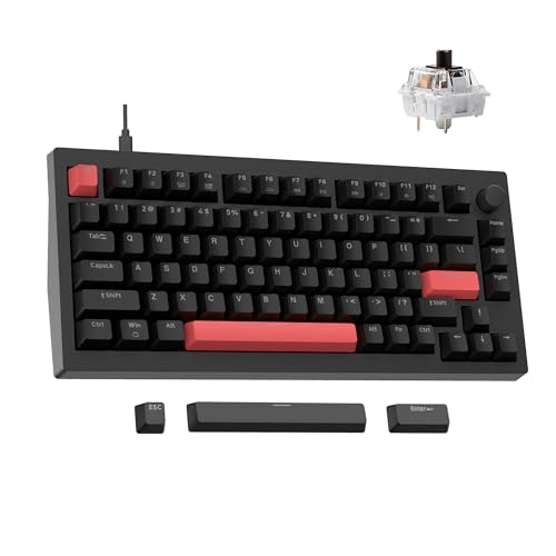 F1 F2 F3 F4 F5 F6 F7 F8 F9 F10 F11 F12
1 2 3 4 5 6 7 8 9 0 - =
Q W E R T Y U I O P
A S D F G H J K L ; '
Z X C V B N M , . /
Shift Tab Esc
Caps Lock Ctrl Alt Space
Ctrl Win Alt
Backspace Enter