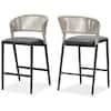 Front. PURPLE LEAF - Outdoor Bar Stool Set of 2 Rattan Bar Stools with Back Metal Bar Height Stool Outdoor Bar Chair for Garden Kitchen - Dark Grey-Counter Height.