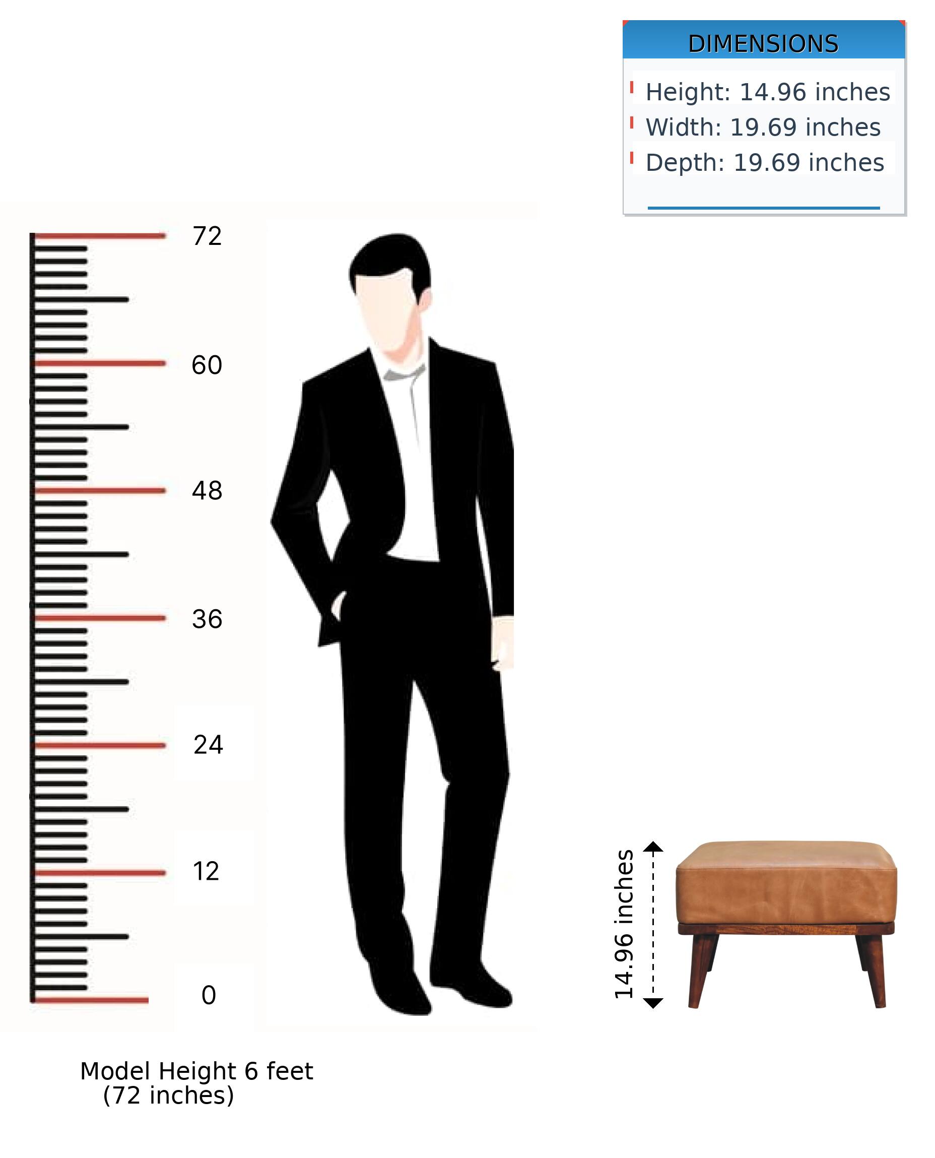 DIMENSIONS  
Height: 14.96 inches  
Width: 19.69 inches  
Depth: 19.69 inches  

Model Height 6 feet (72 inches)
