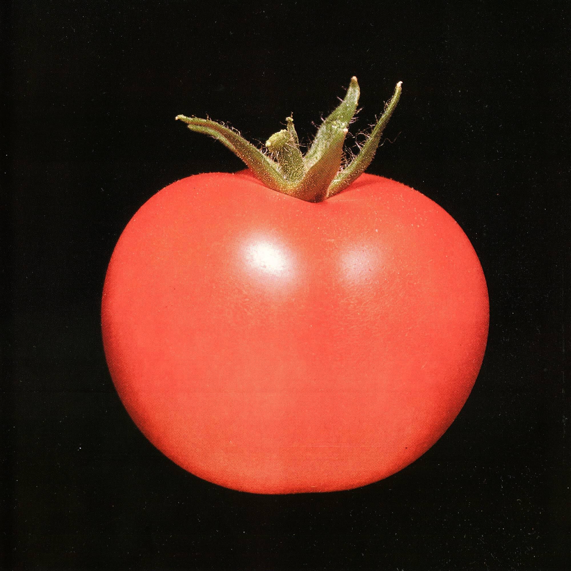 Front. Chronophage [LP].