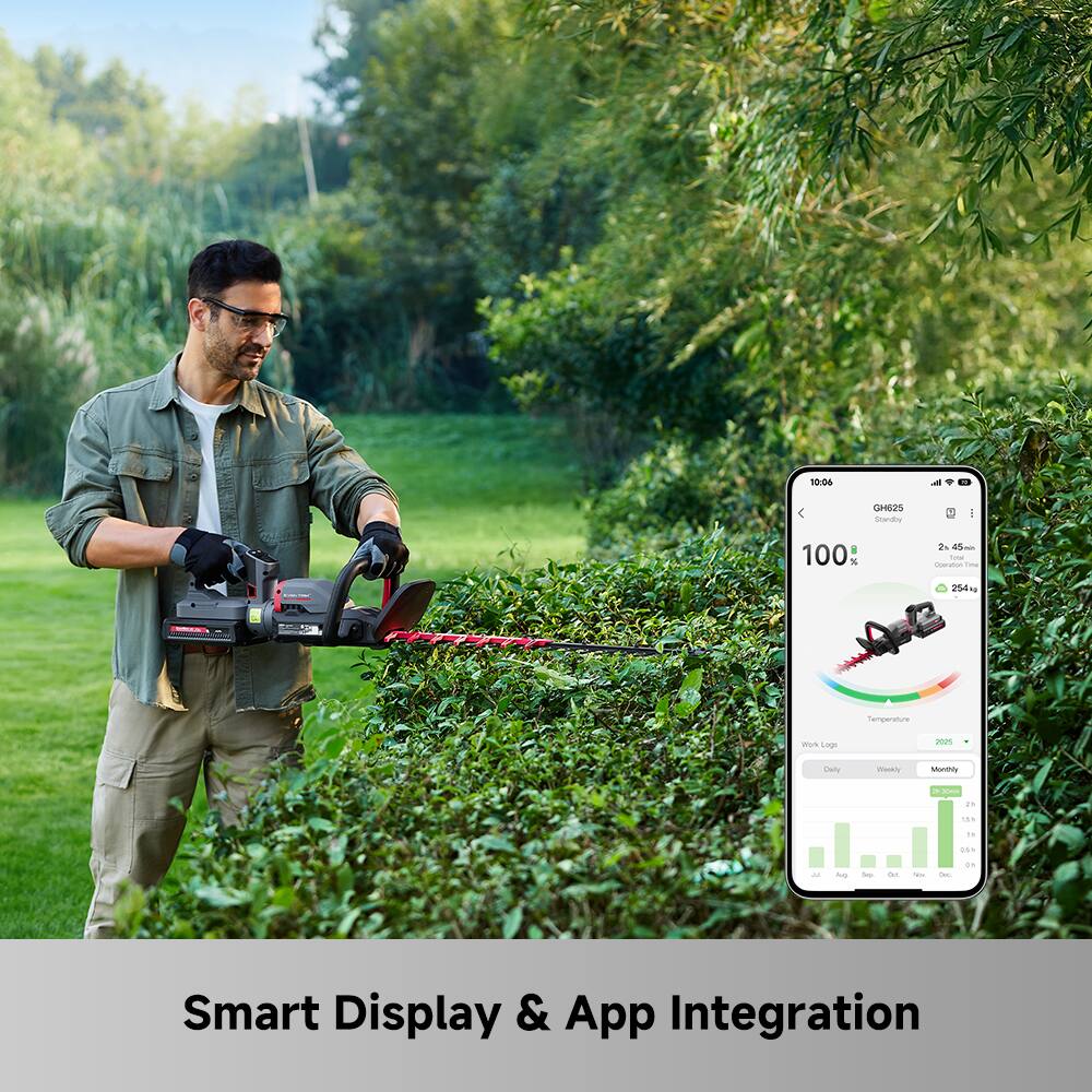 10.06 < GHE2S Soerdny I 100 N 2 4a - couratioon - 254 + Temperature mUs Loge 200% Daily Webly Muritty 3m 15 1h6 14 ... 2 - - - - - an Smart Display & App Integration