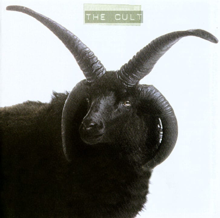 Front. Cult [Bonus CD] [LP].