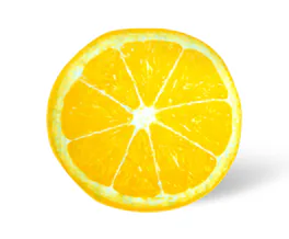 Toynk - Lemon Slice Round Fleece Throw Blanket | 60 Inches - Yellow