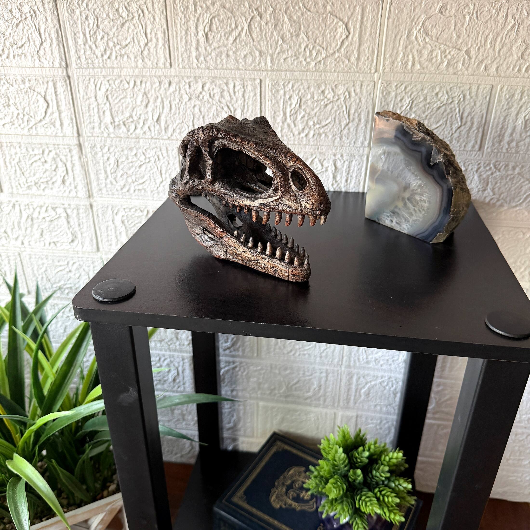 Alt View 4. Things2Die4 - Giganotosaurus Dinosaur Statue Weathered Brown Resin 6.5 Inch Tabletop Decor - Brown.