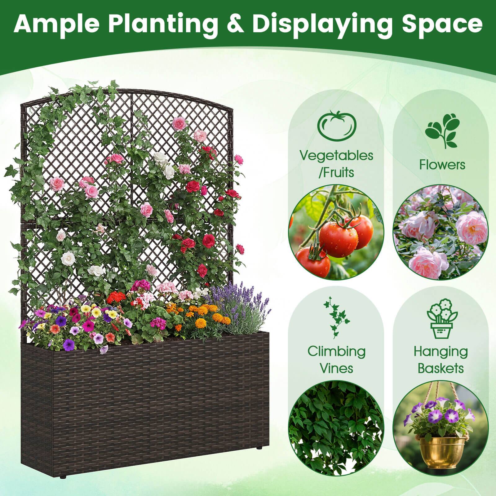 Ample Planting & Displaying Space

- Vegetables / Fruits
- Flowers
- Climbing Vines
- Hanging Baskets