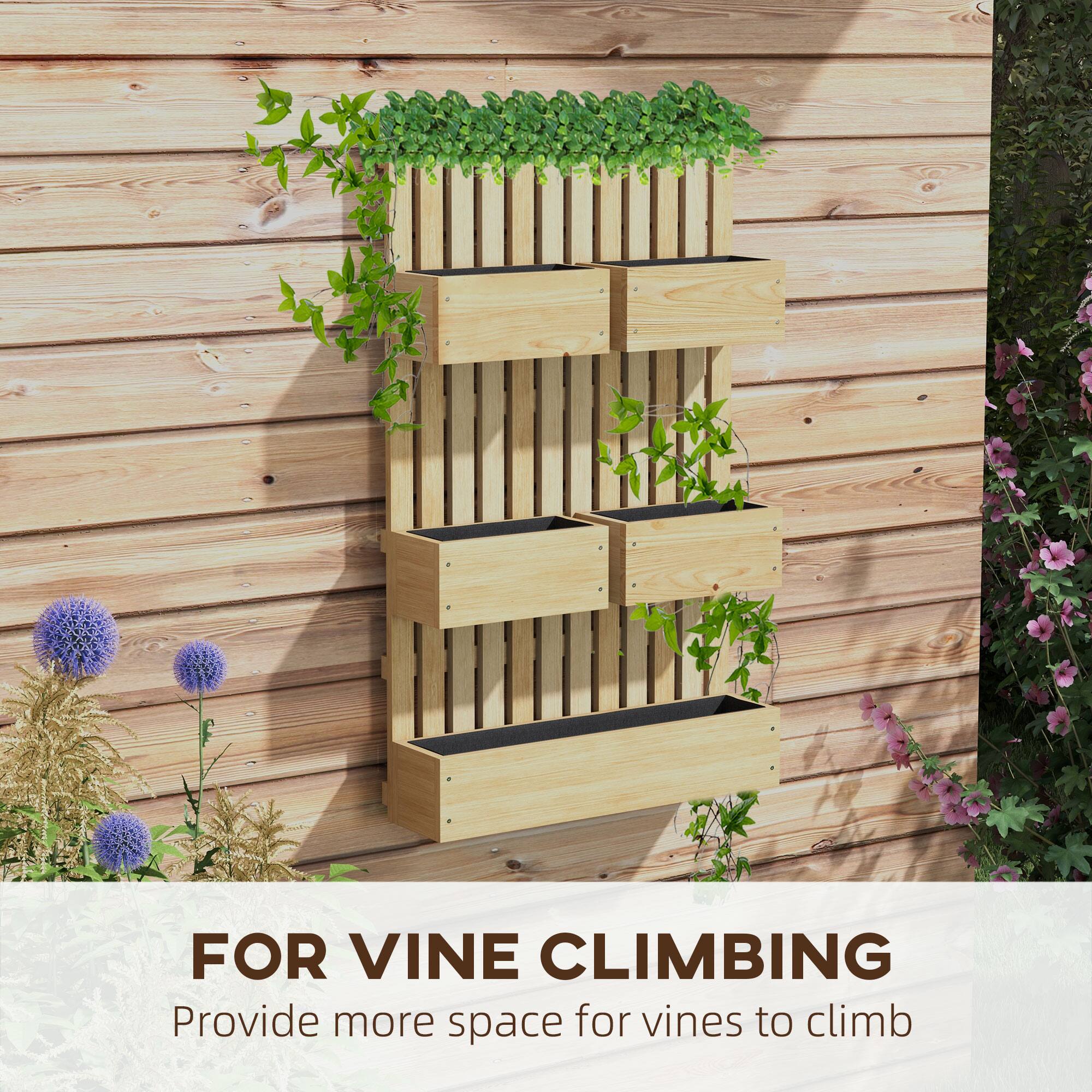 FOR VINE CLIMBING
Provide more space for vines to climb