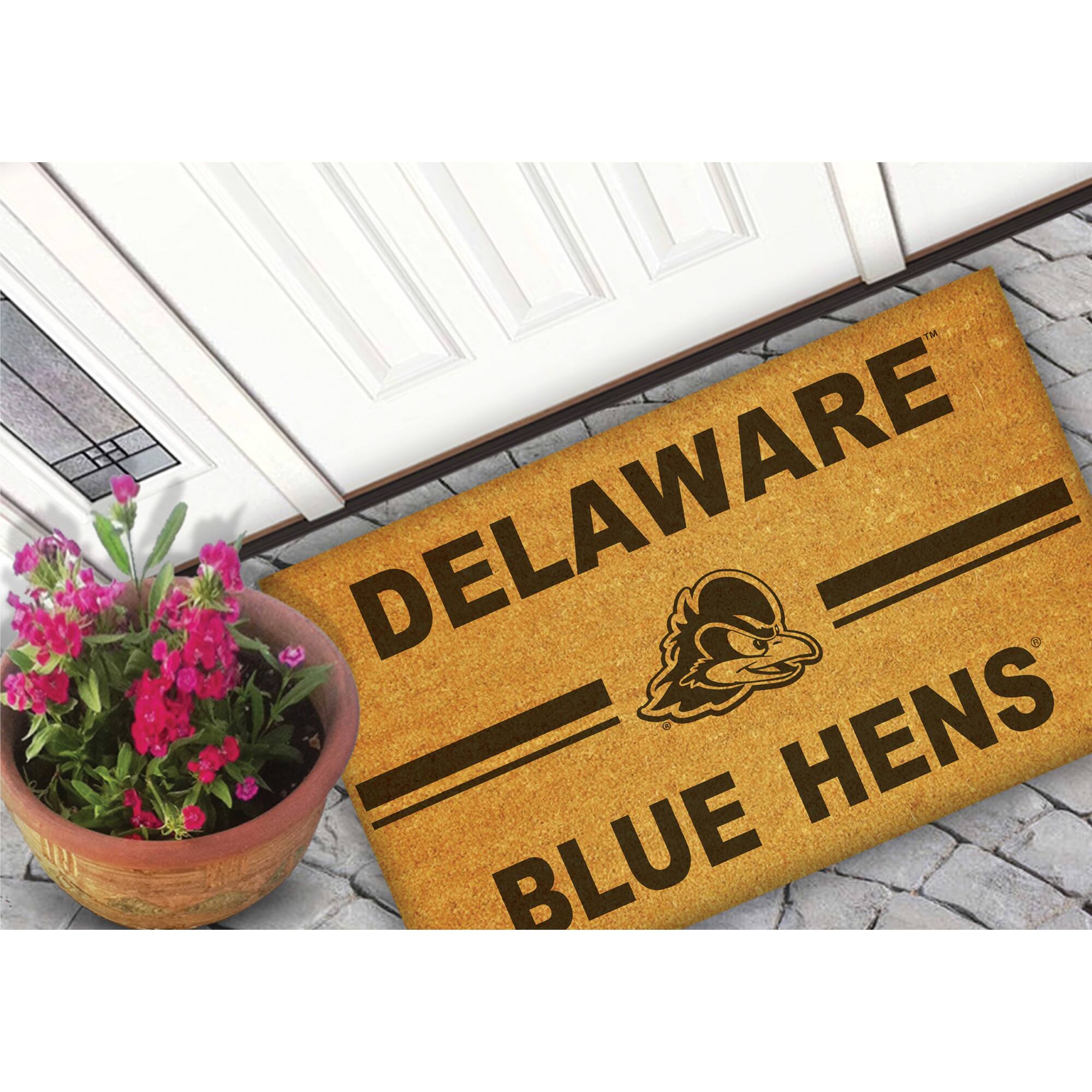 DELAWARE  
BLUE HENS