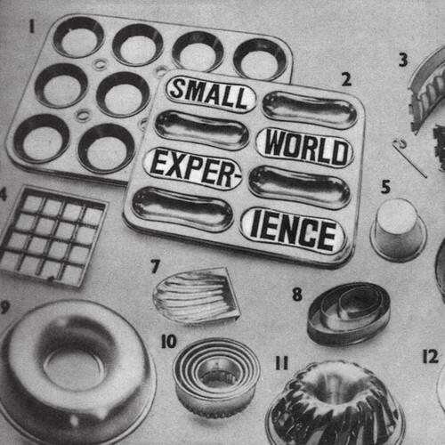 Small World Experience - Shelf-life - VINYL LP