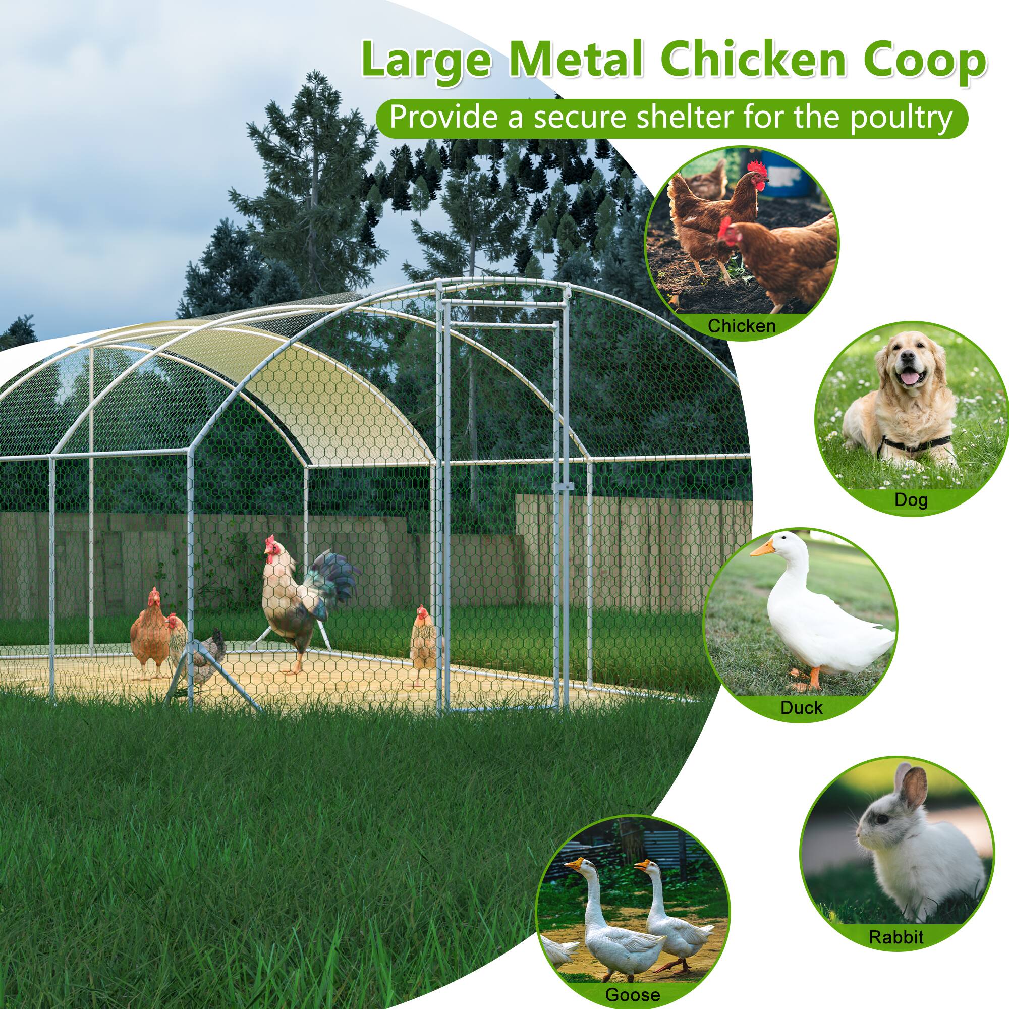 Large Metal Chicken Coop  
Provide a secure shelter for the poultry  

- Chicken  
- Dog  
- Duck  
- Rabbit  
- Goose