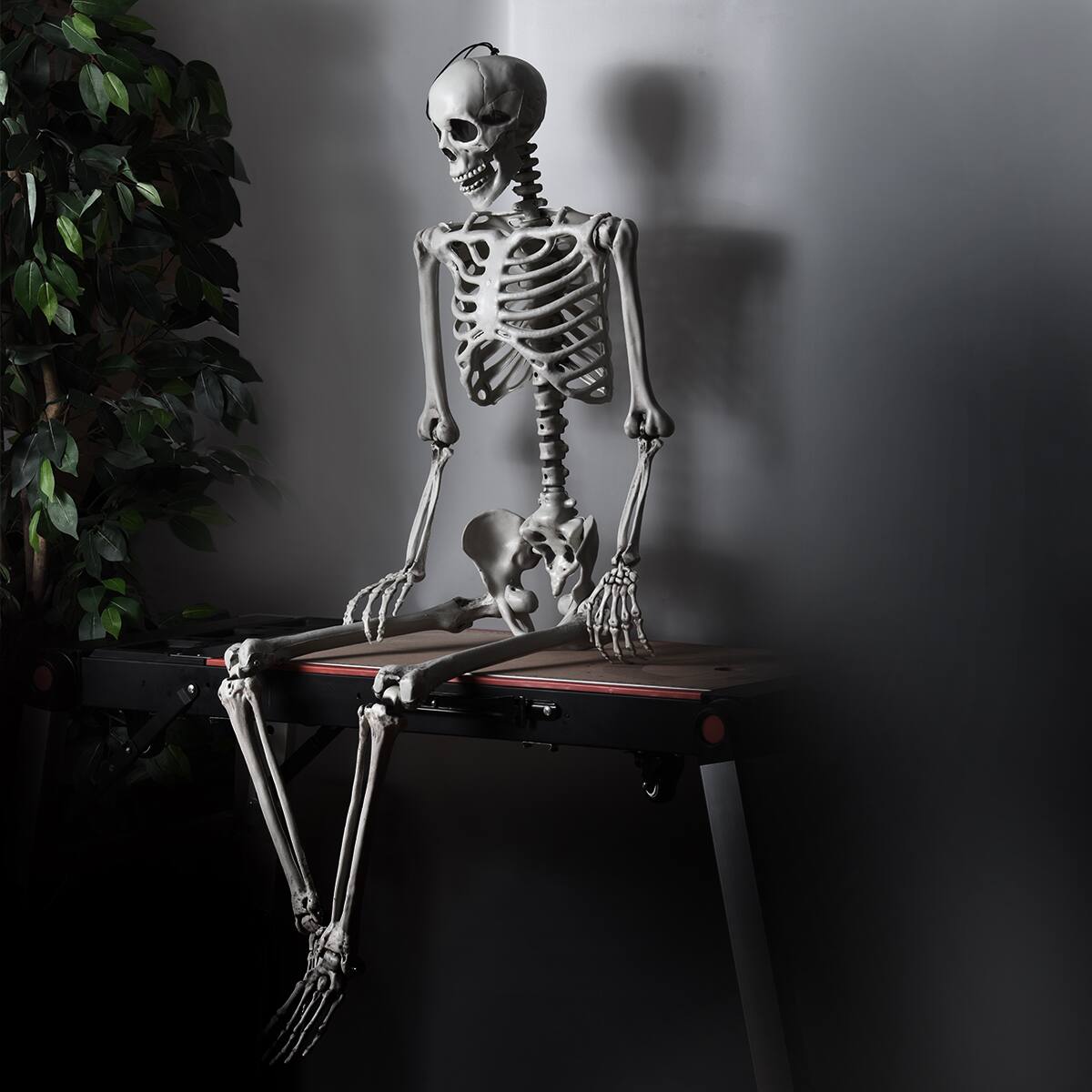 Alt View 5. Costway - Costway 5.4ft Halloween Skeleton Life Size Realistic Full Body Hanging w/ Movable Joints - white.