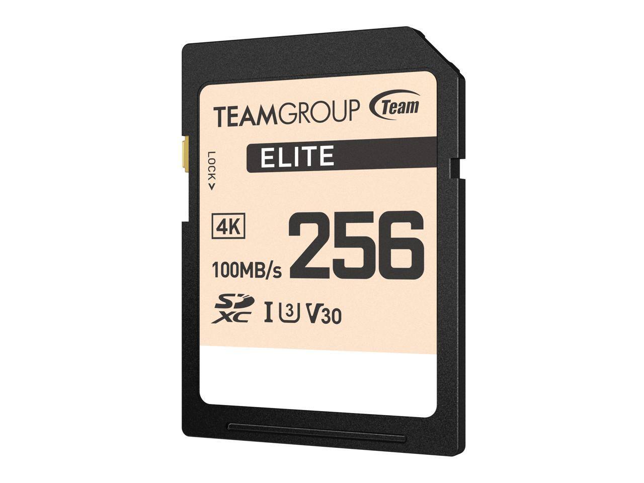 TEAMGROUP Team ELITE  
256GB  
100MB/s  
4K  
XC I3 V30