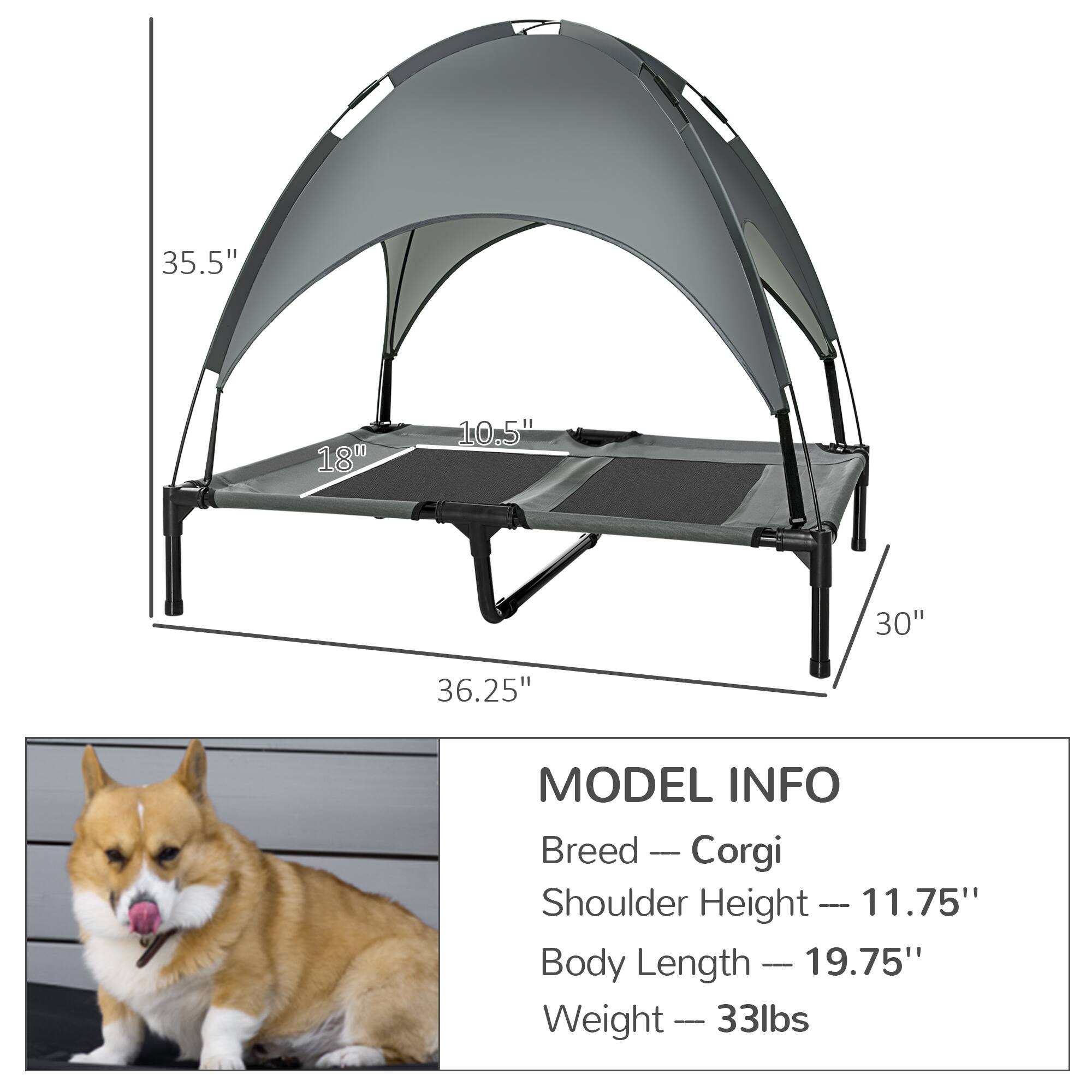35.5"  
18"  
10.5"  
30"  
36.25"  

MODEL INFO  
Breed — Corgi  
Shoulder Height — 11.75"  
Body Length — 19.75"  
Weight — 33lbs