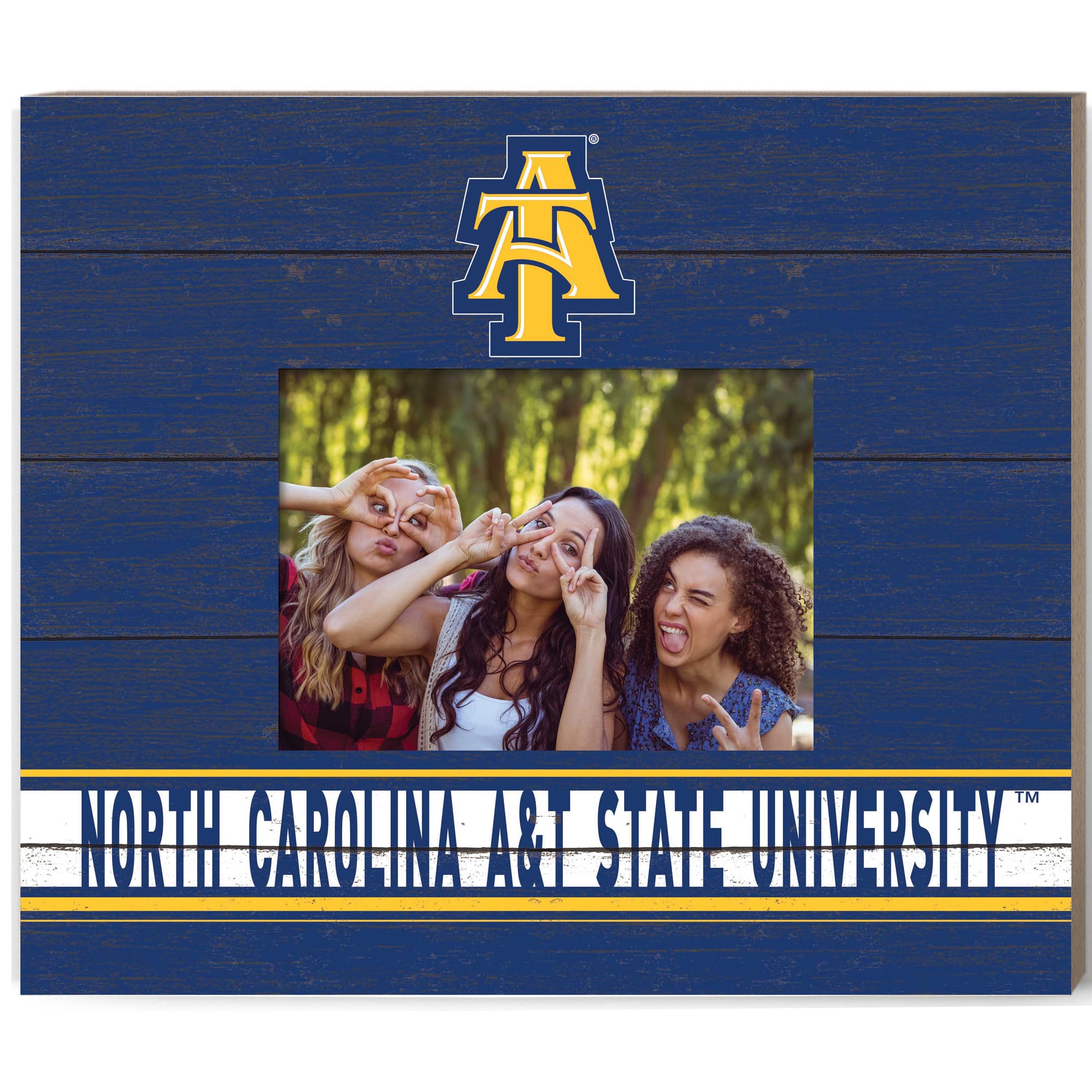 Jardine - North Carolina A&T Aggies 11'' x 13'' Team Spirit Picture Frame - Blue price history on PriceWatchPro