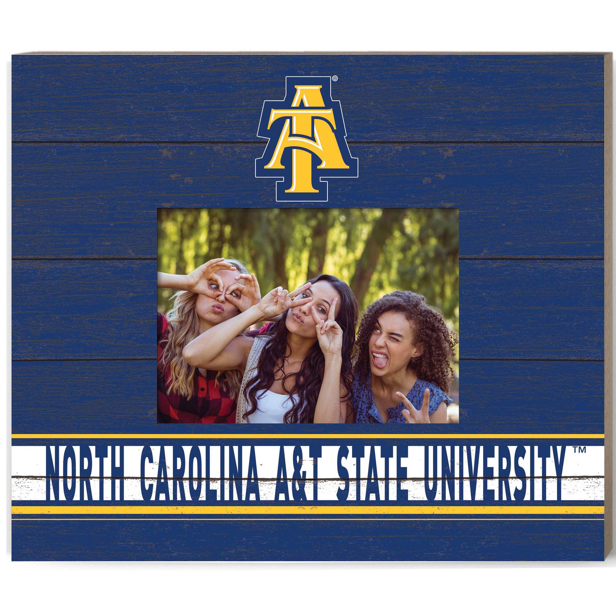 A TM HO CAROLINA A&T STATE UNIVERSITY