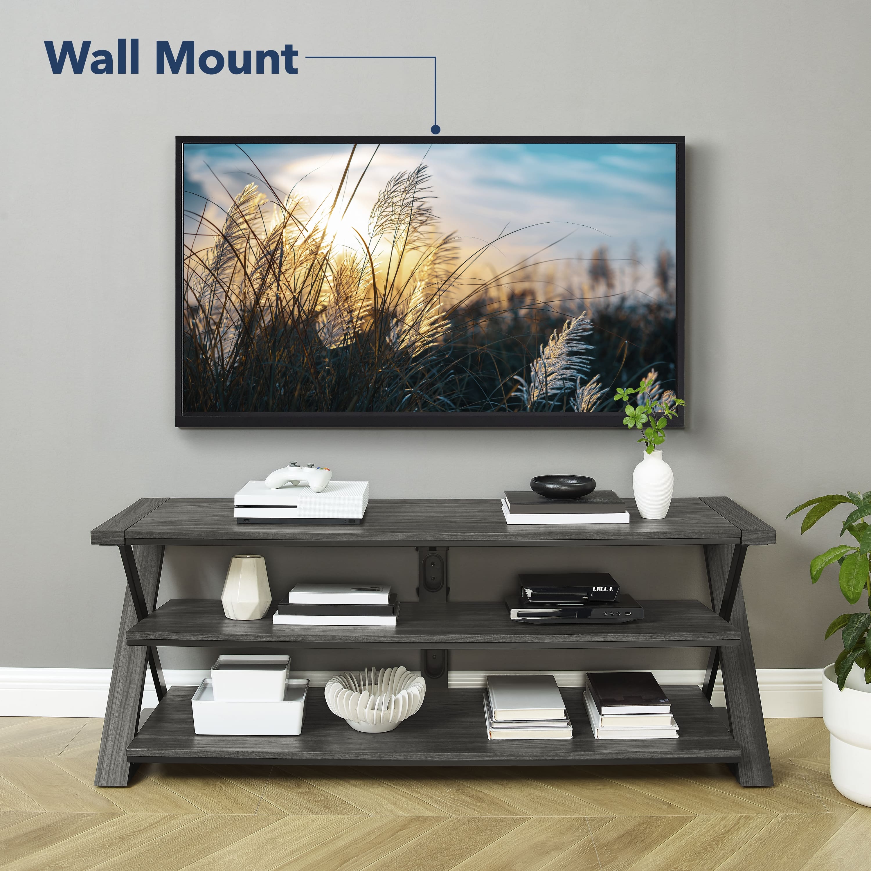Wall Mount LMiS