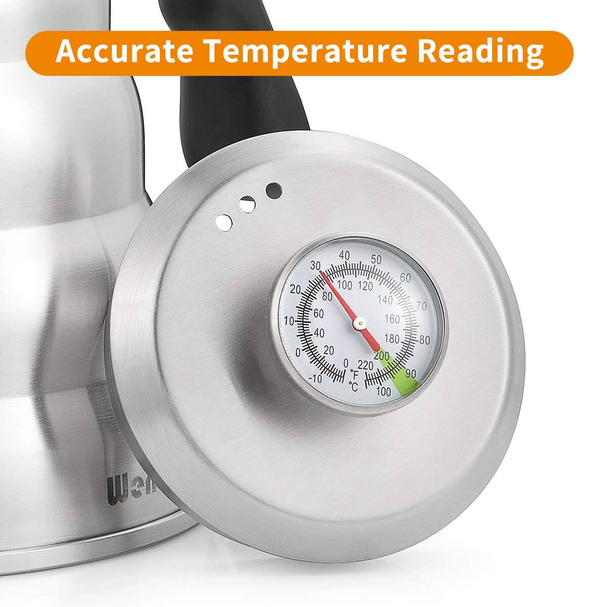 Accurate Temperature Reading

20 10 0 40 50 30 60 100 120 80 140 70 60 160 40 180 80 20 200 0 220 -10 F 90 C 100