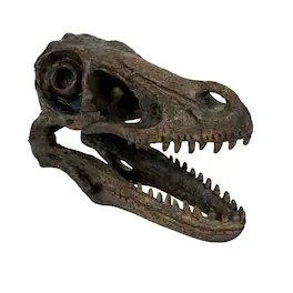 Things2Die4 - Velociraptor Statue Resin Dinosaur Fossil Replica 7 Inch Decor - Brown