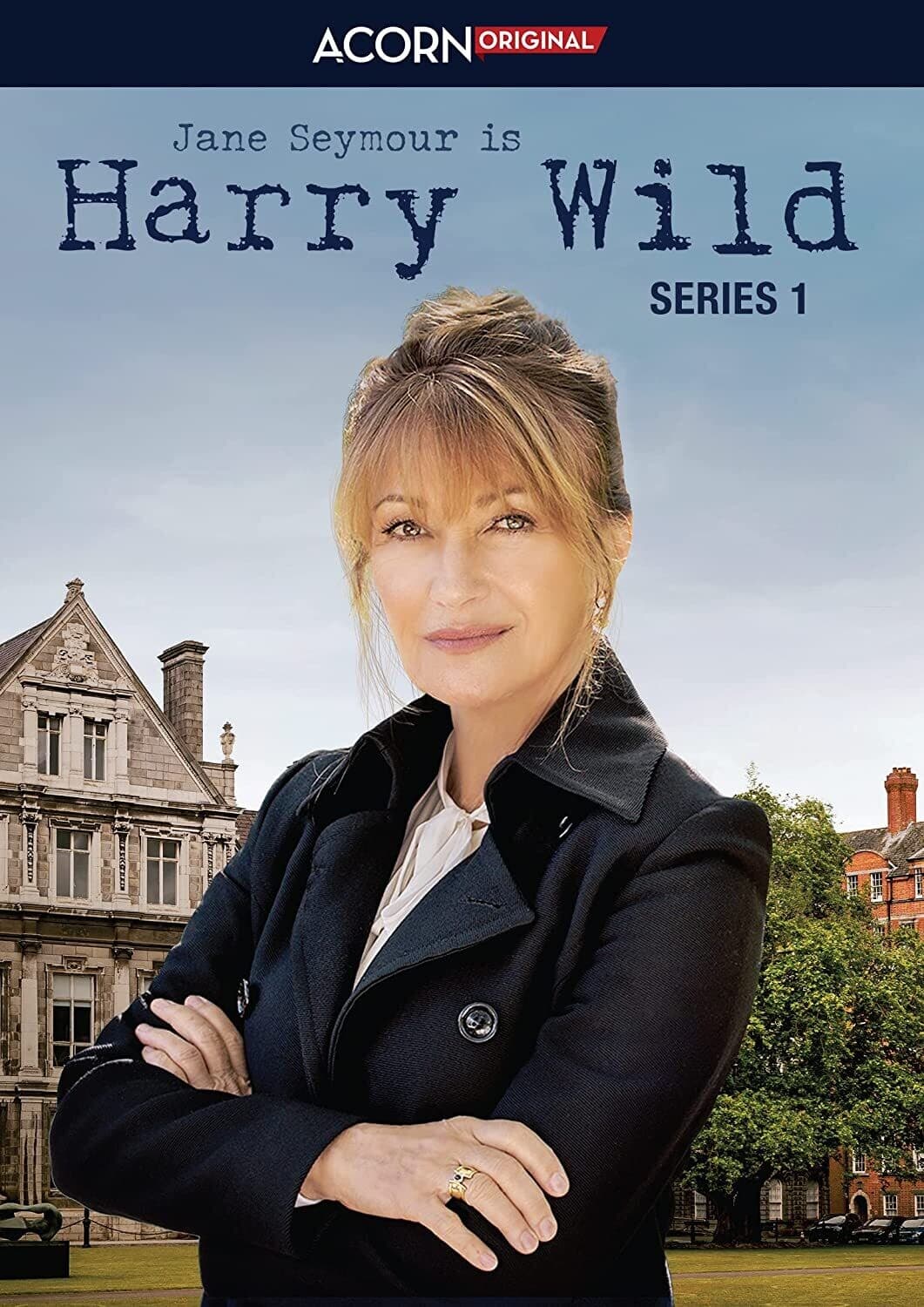 Harry Wild: Series 1  - DVD
