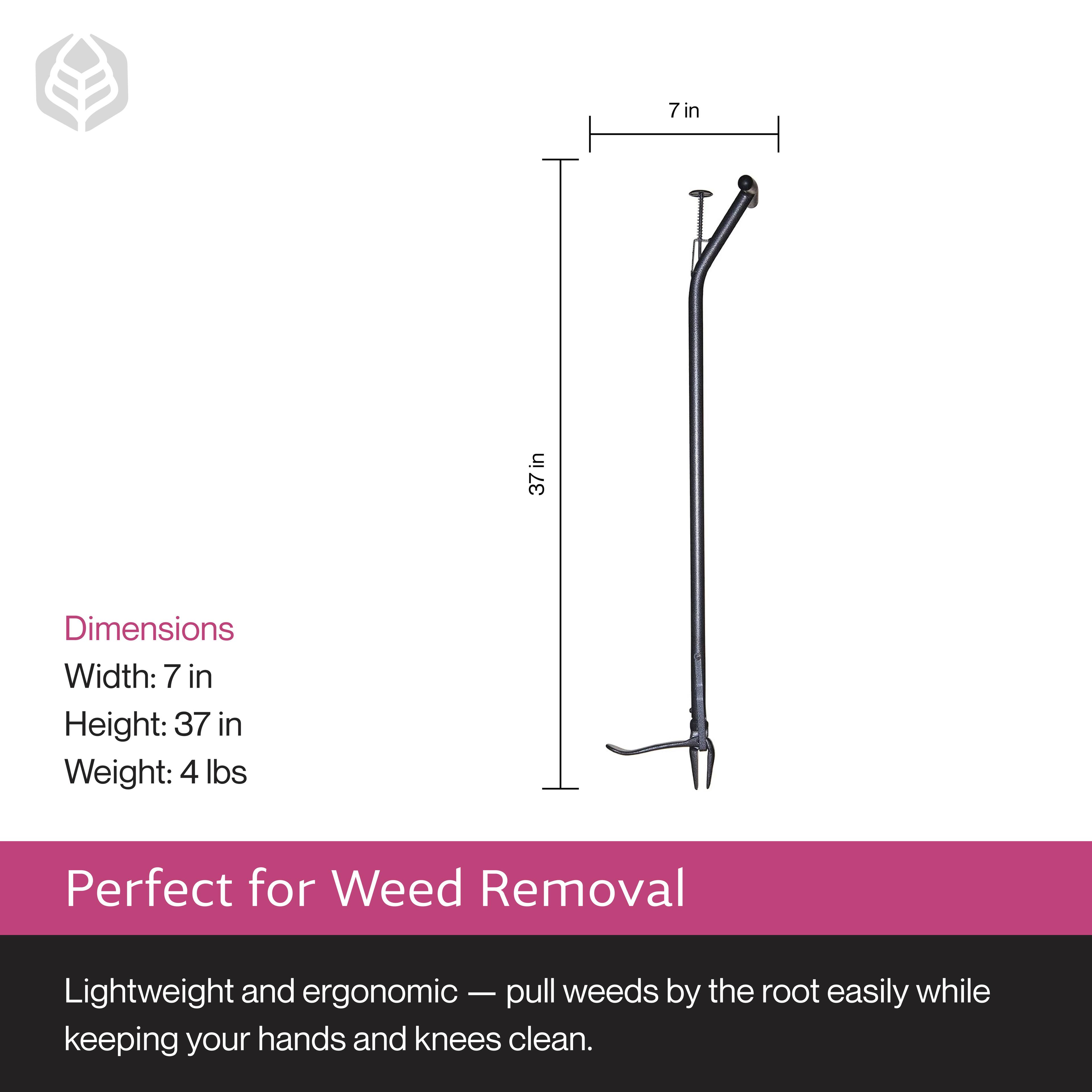 Dimensions  
Width: 7 in  
Height: 37 in  
Weight: 4 lbs  

Perfect for Weed Removal  
Lightweight and ergonomic — pull weeds by the root easily while keeping your hands and knees clean.