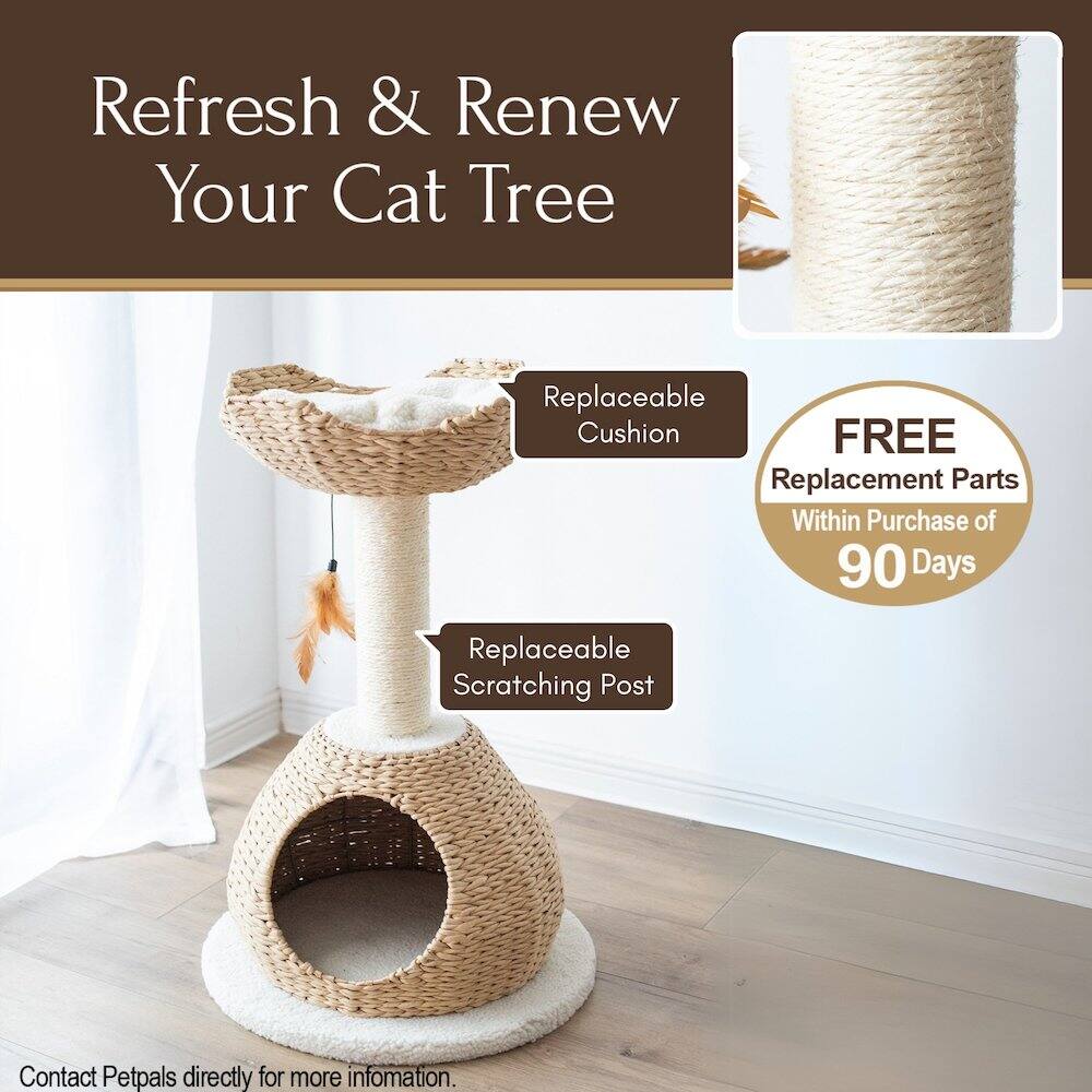 Refresh & Renew Your Cat Tree

Replaceable Cushion

Replaceable Scratching Post

FREE Replacement Parts Within Purchase of 90 Days

Contact Petpals directly for more information.
