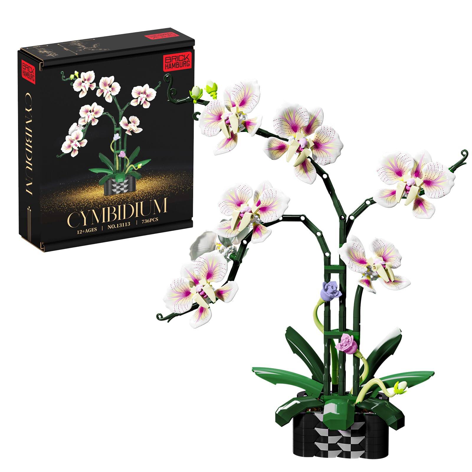 BRICK EPC HAMBURG  
CYMBIDIUM  
12+AGES  
NO.13113  
736PCS