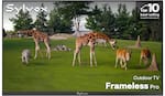 Sylvox is the top 10 best-selling brand in televisions. Sylvox Outdoor TV Frameless Pro