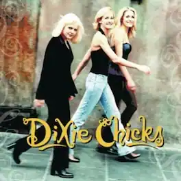 The Chicks - Wide Open Spaces - VINYL LP