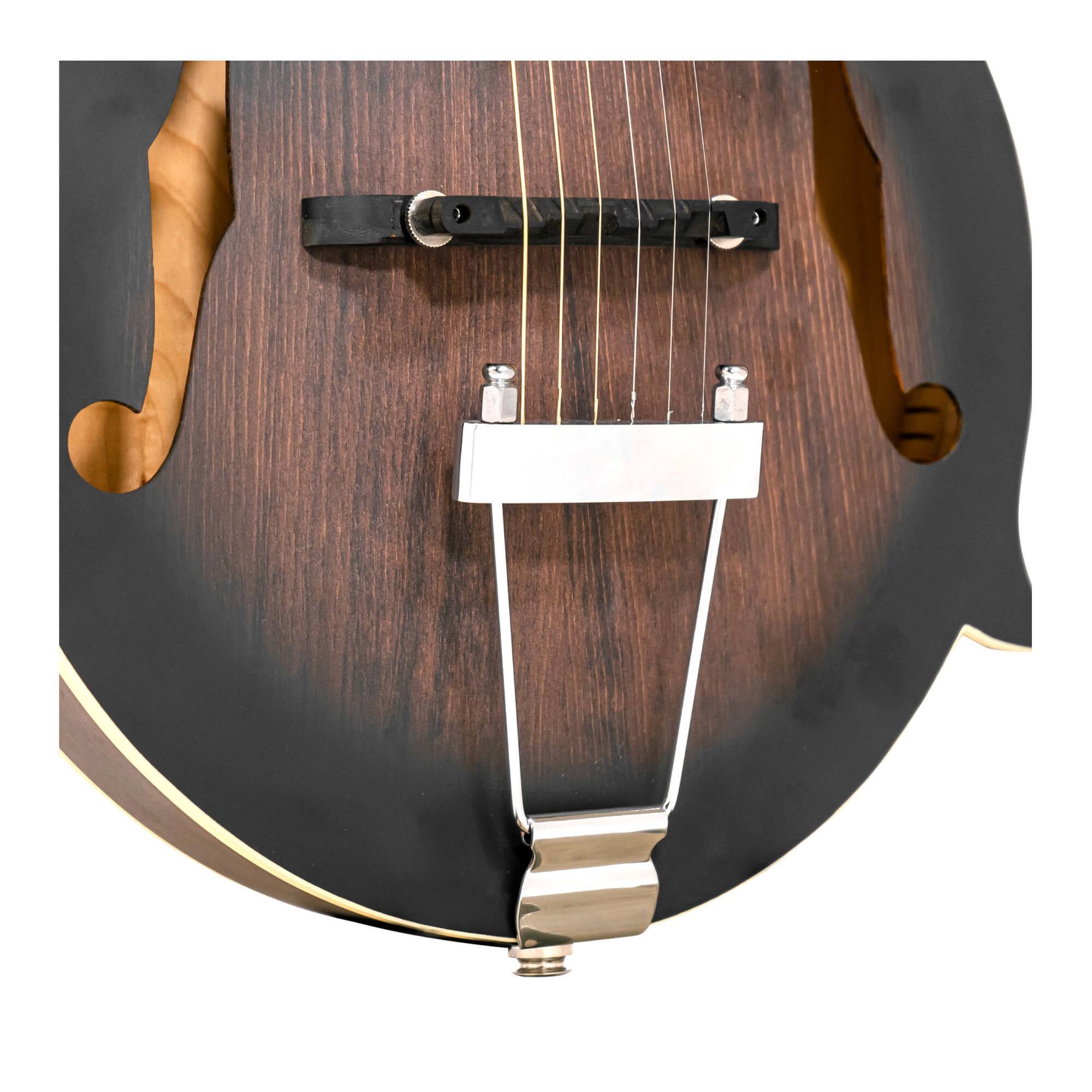 Left. Gold Tone - Gold Tone F-6: 6-string F-style Mando-Guitar with Pickup and Case.