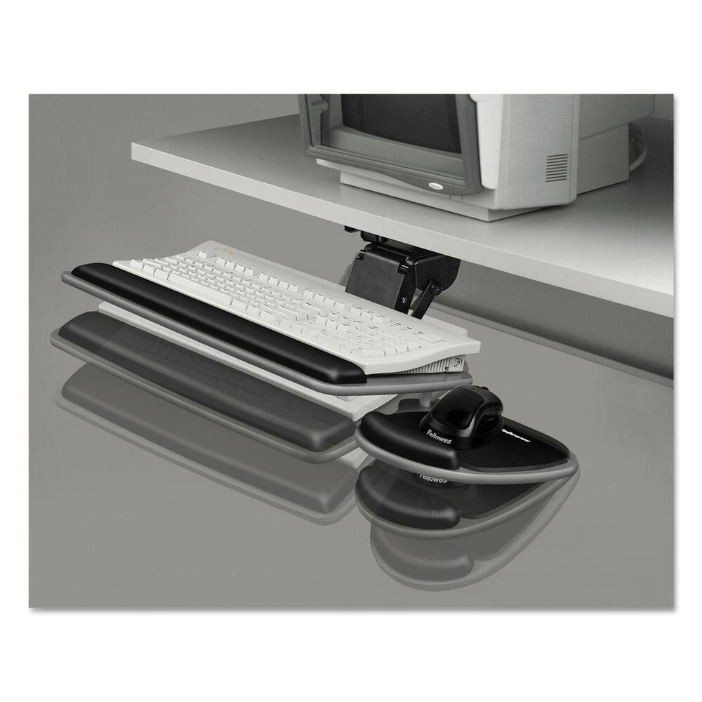 The text on the image reads:

- "Fellowes" (on the mouse pad)
- "Fellowes" (on the mouse)