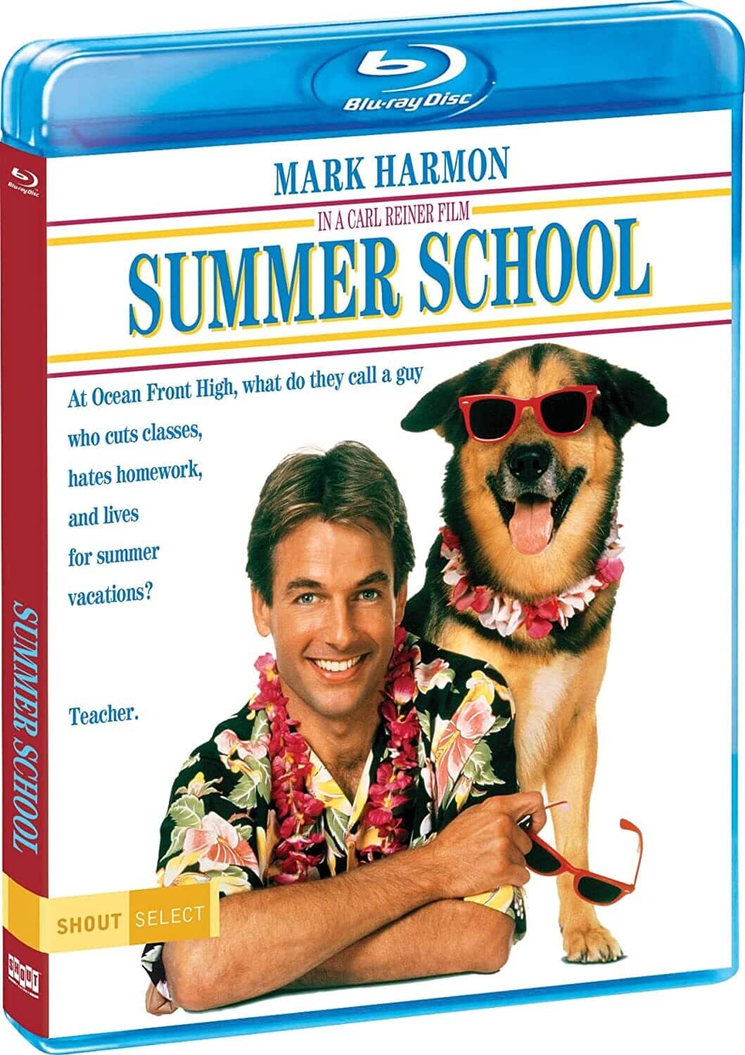 Front. Summer School   - BLU-RAY.