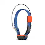 ALPHA NIWYO GARMIN 000