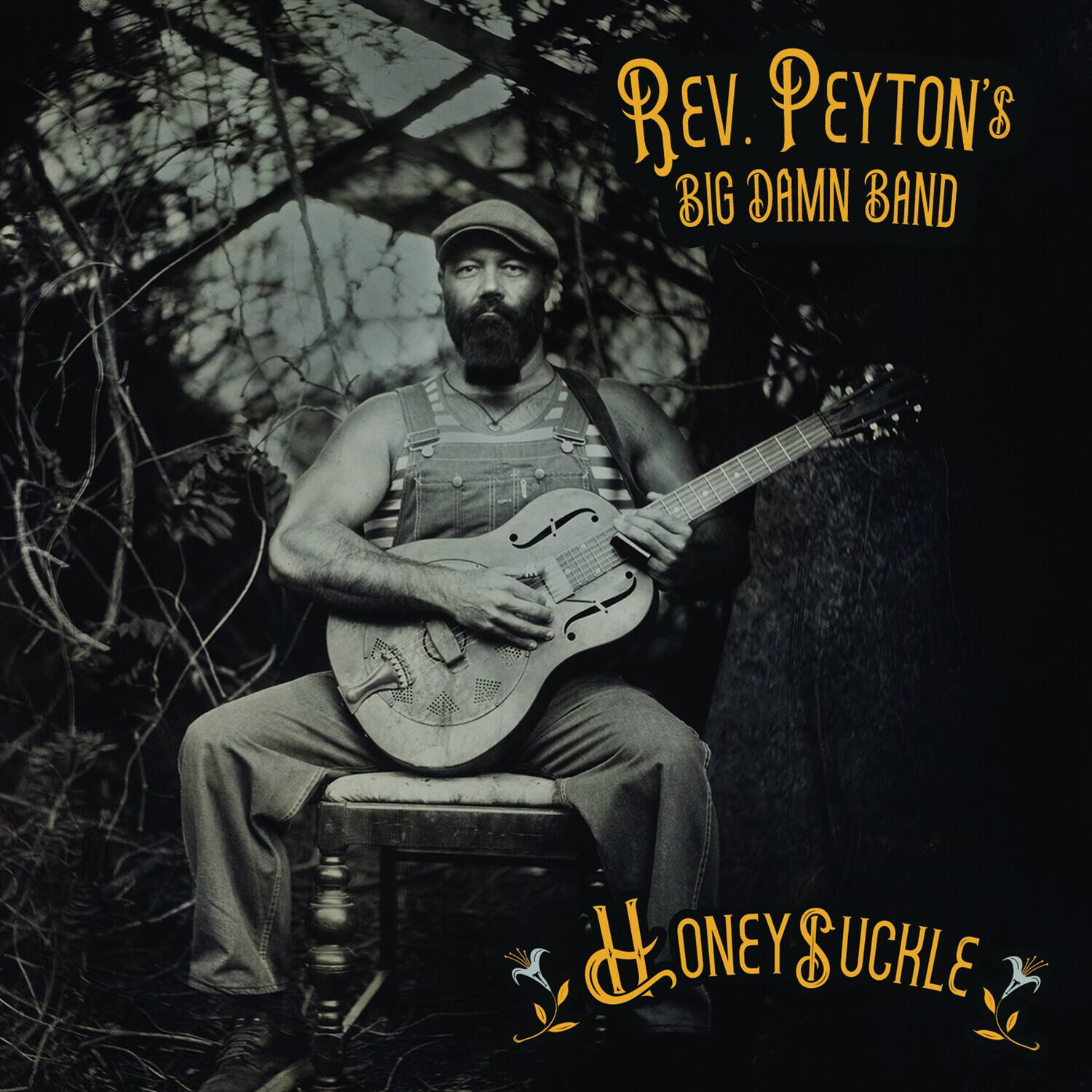 Rev. Peyton's Big Damn Band  
Honey Suckle