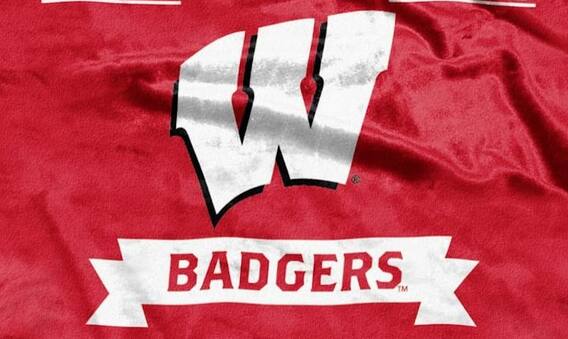 Alt View 3. Northwest - Wisconsin Badgers 50x60 Label Design Royal Plush Raschel Throw - Multi.