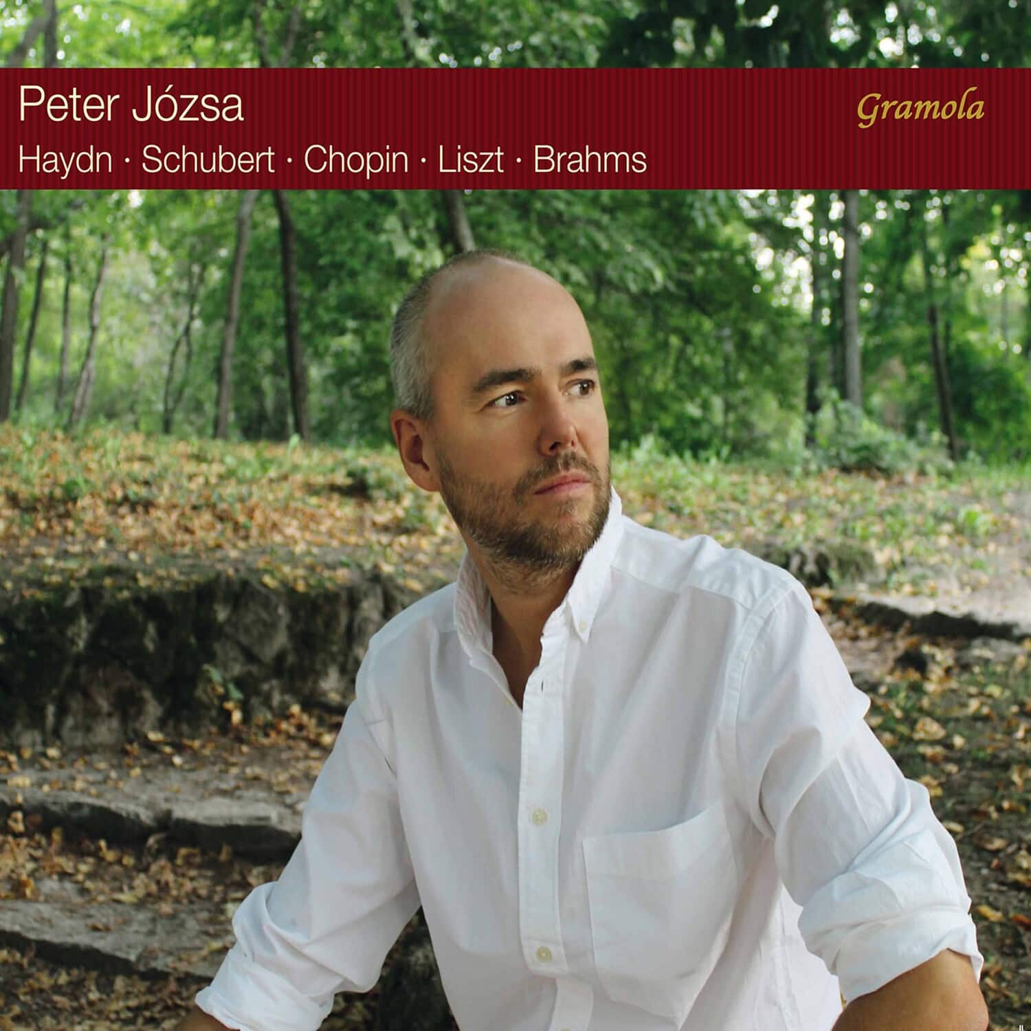 Peter Jozsa - Portrait   - COMPACT DISCS [CD] price history on PriceWatchPro