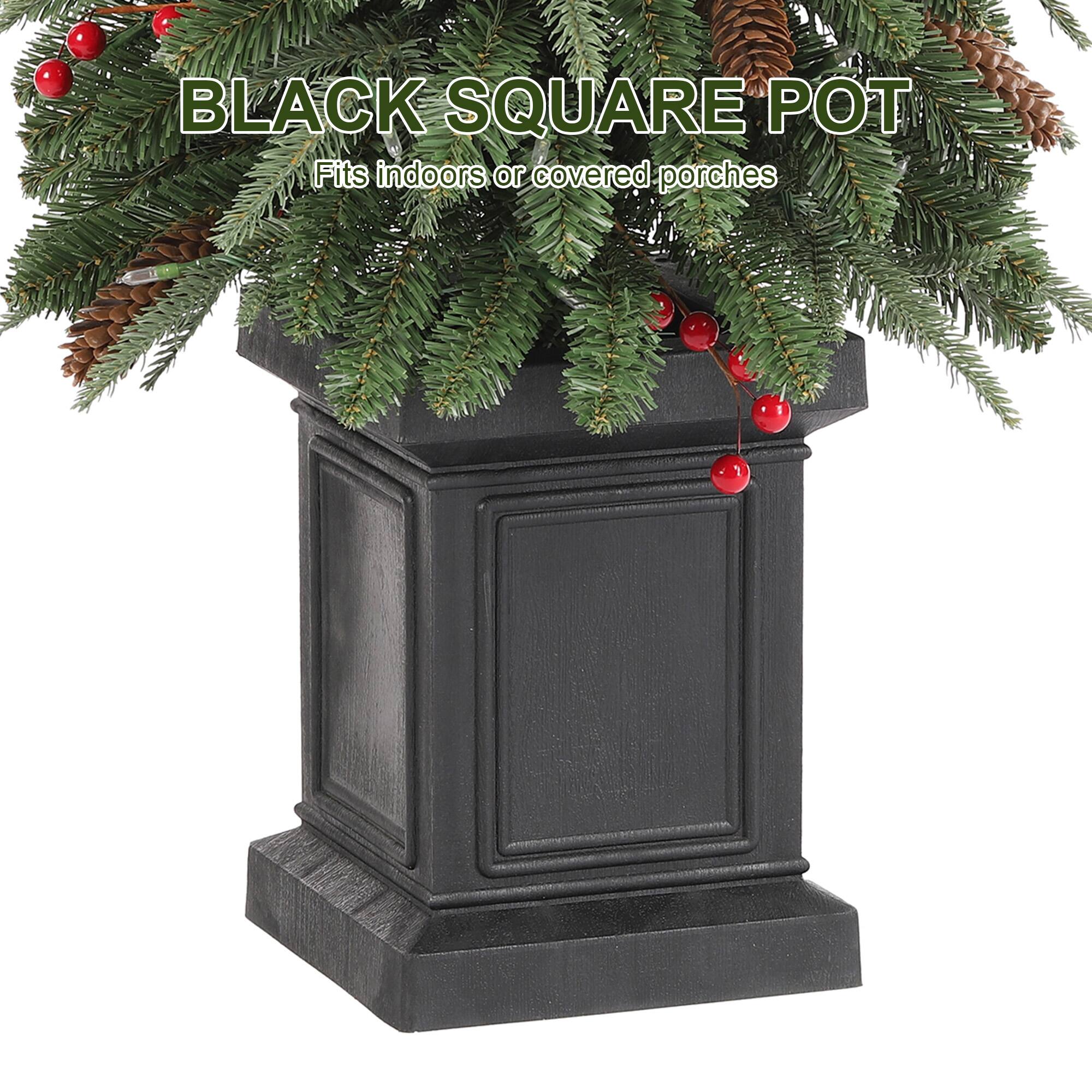 BLACK SQUARE POT  
Fits indoors or covered porches