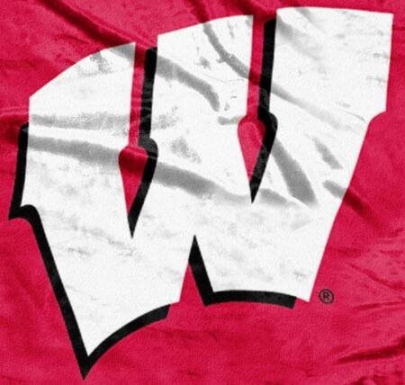 Alt View 1. Northwest - Wisconsin Madison Badgers 50x60 School Spirit Royal Plush Raschel Throw - Multi.