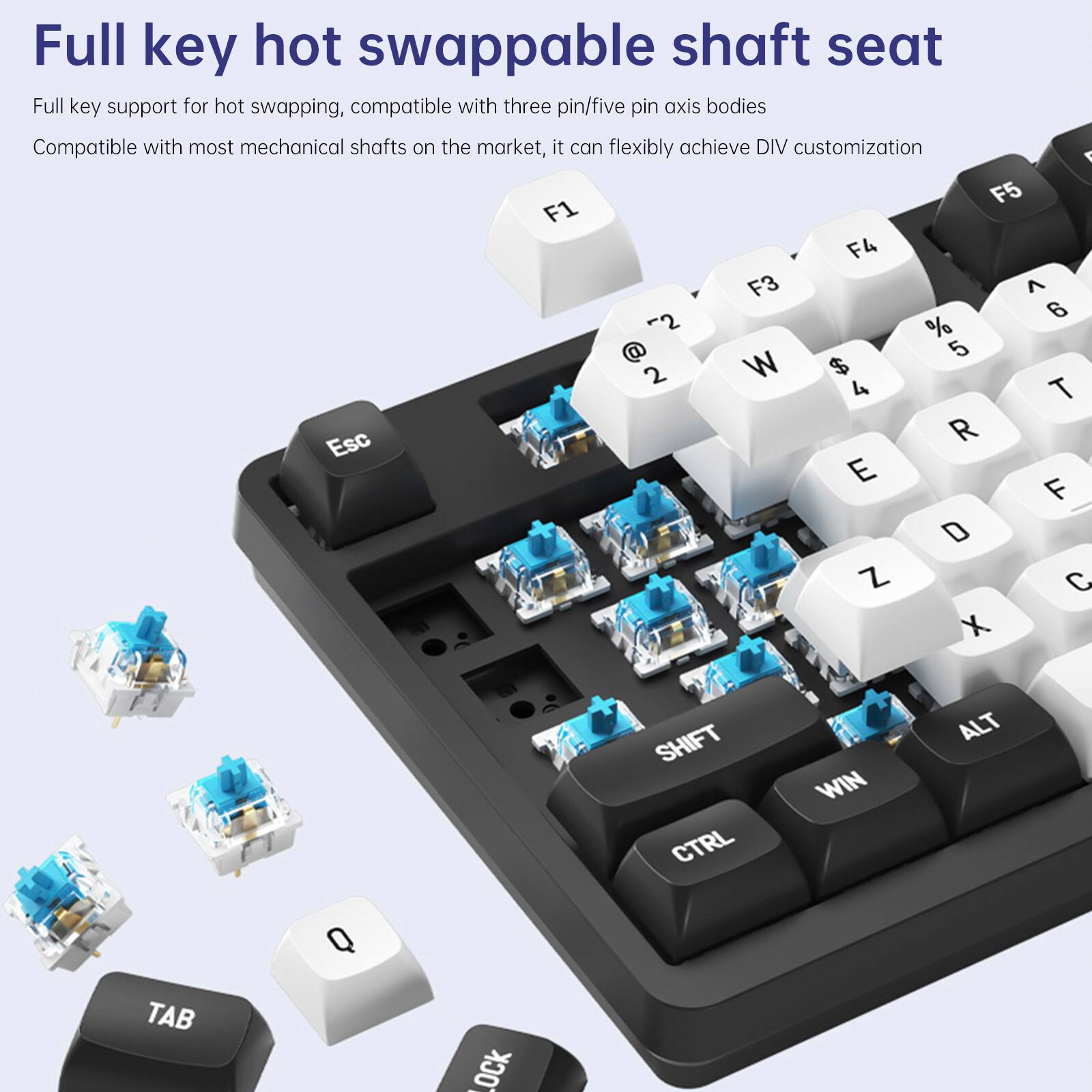 Full key hot swappable shaft seat

Full key support for hot swapping, compatible with three pin/five pin axis bodies

Compatible with most mechanical shafts on the market, it can flexibly achieve DIV customization

A F5 F1 F4 F3 ^ 6 -2 % @ 5 2 W $ 4 T Esc E F D Z C X SHIFT CTRL WIN ALT Q TAB .OCK -