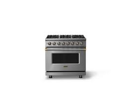 Viking - 36"W. Pro5S 5.6 Cu. Ft. Freestanding Self-Clean Sealed 6 Burner Dual Fuel Convection Range-Stainless Steel/Brushed Brass - Stainless Steel