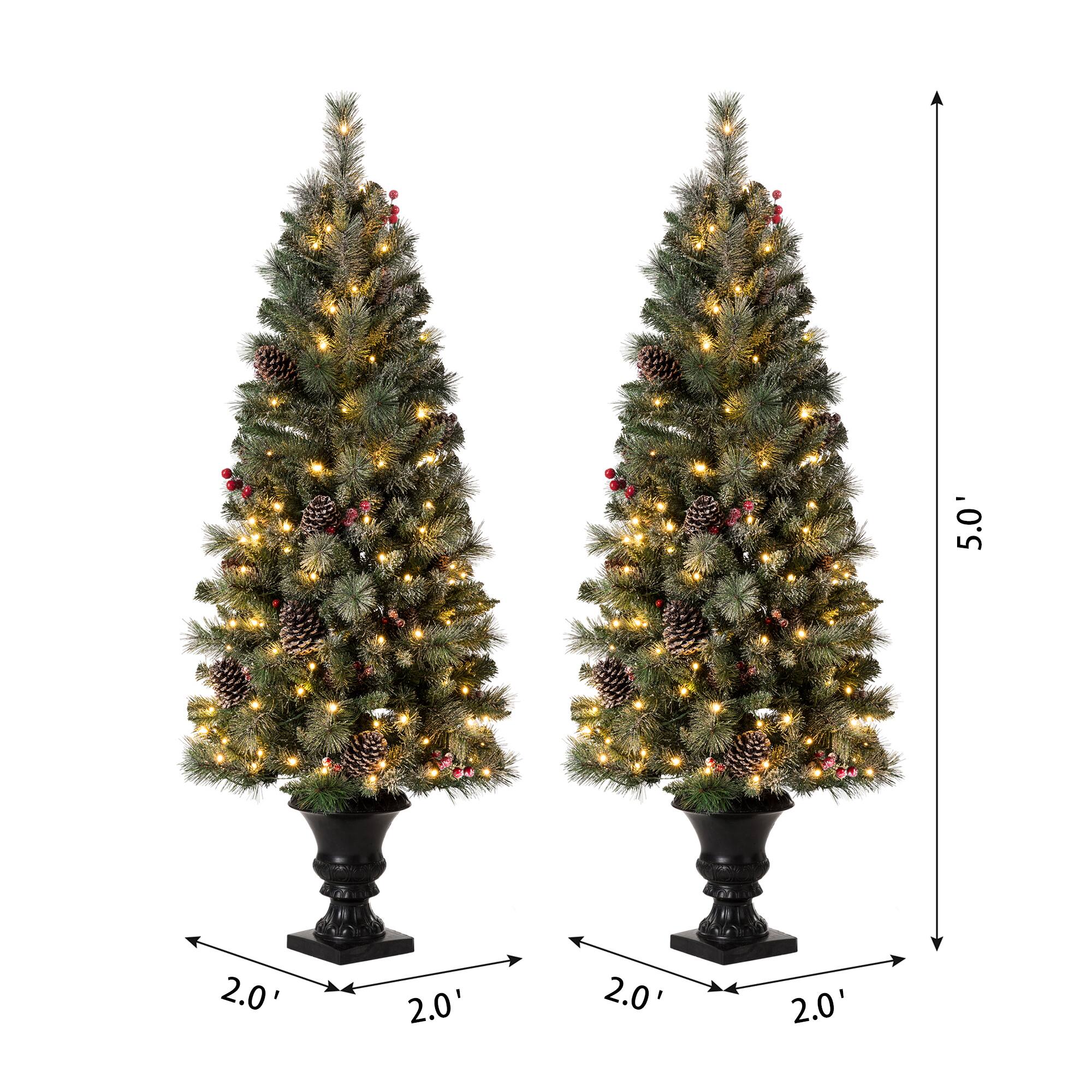 5.0'
2.0'
2.0'
2.0'
2.0'