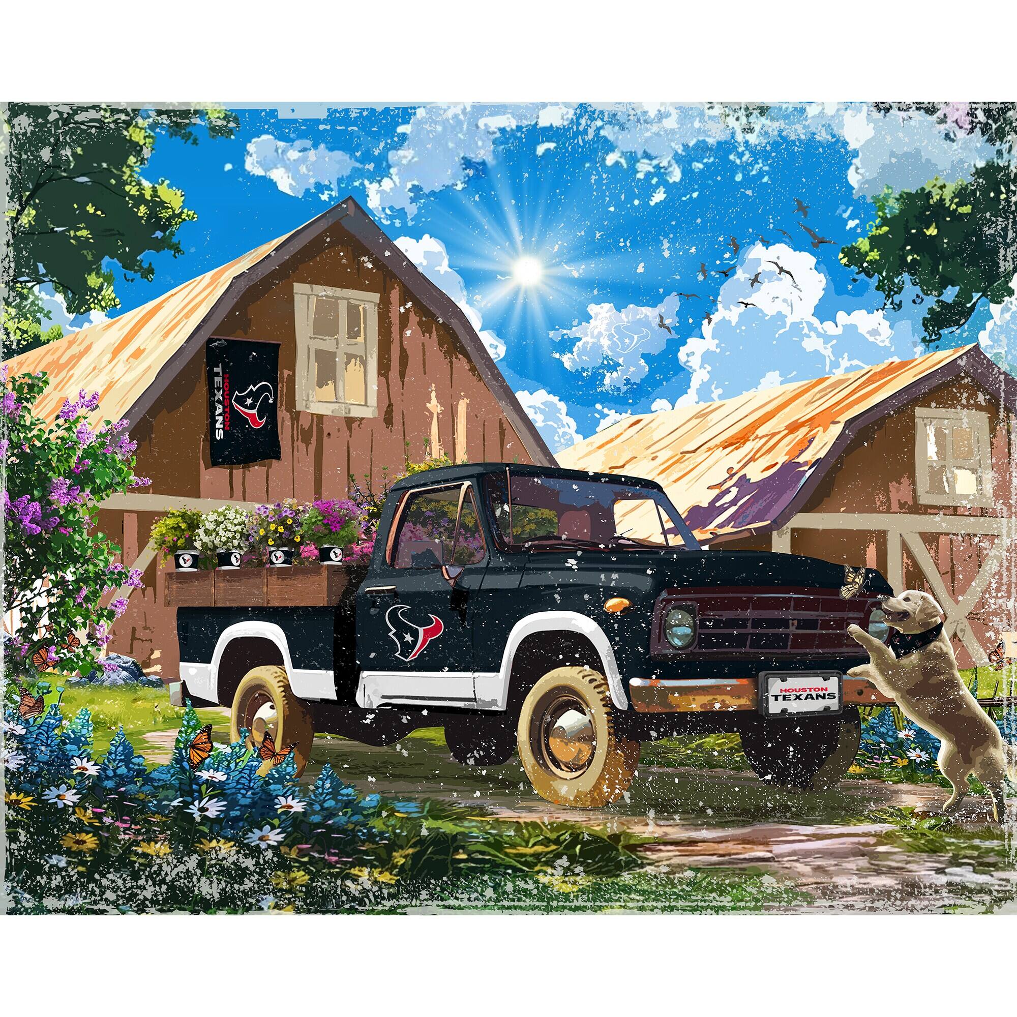 TEXANS  
HOUSTON TEXANS