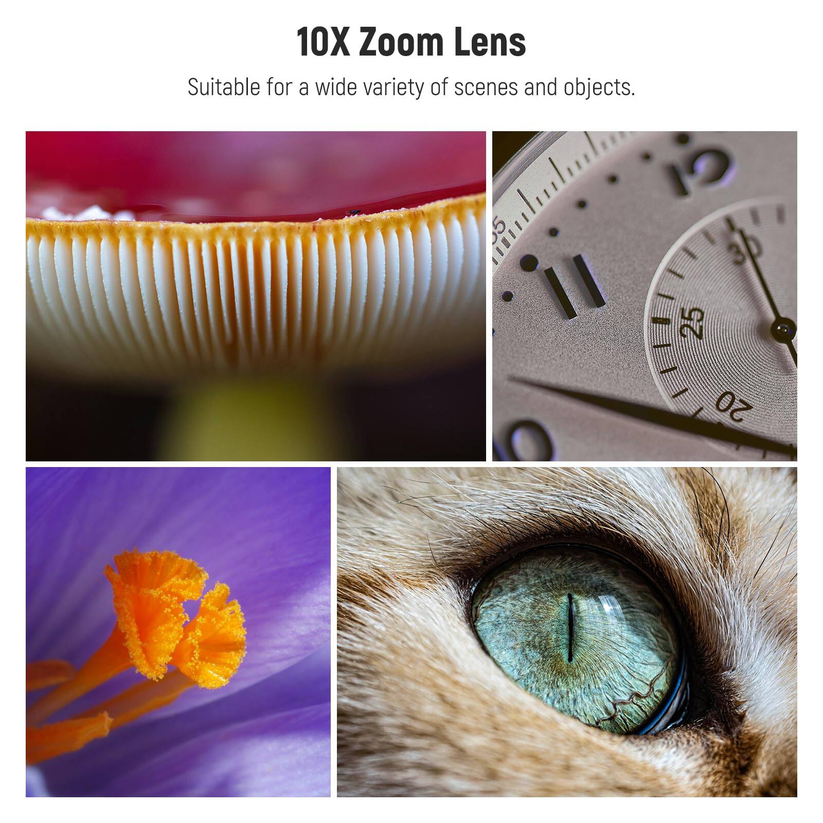 10X Zoom Lens  
Suitable for a wide variety of scenes and objects.