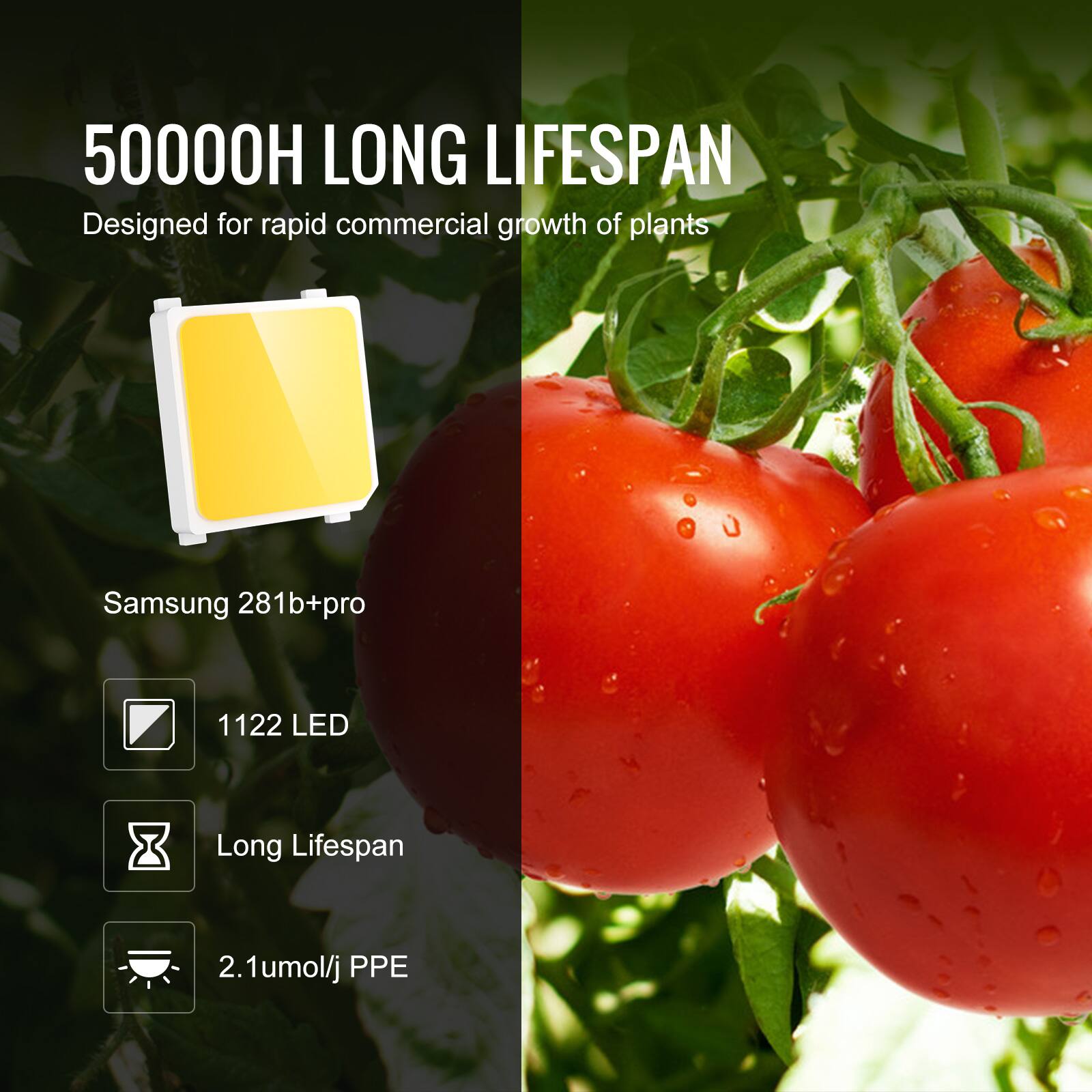 50000H LONG LIFESPAN  
Designed for rapid commercial growth of plants

Samsung 281b+pro  
1122 LED  
Long Lifespan  
2.1umol/j PPE