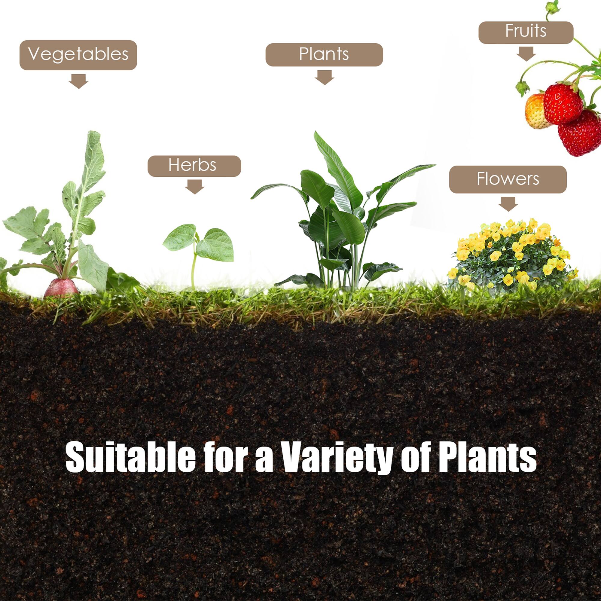 Vegetables  
Herbs  
Plants  
Fruits  
Flowers  

Suitable for a Variety of Plants
